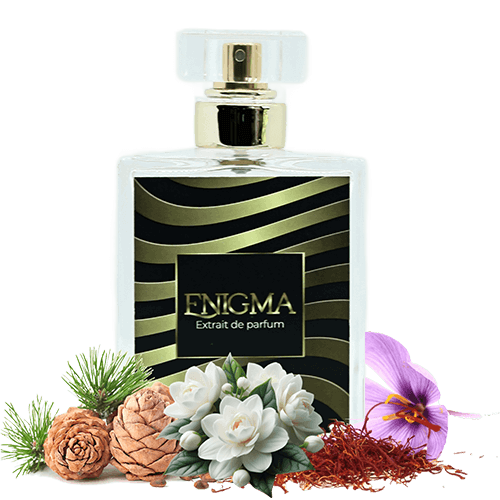 Enigma